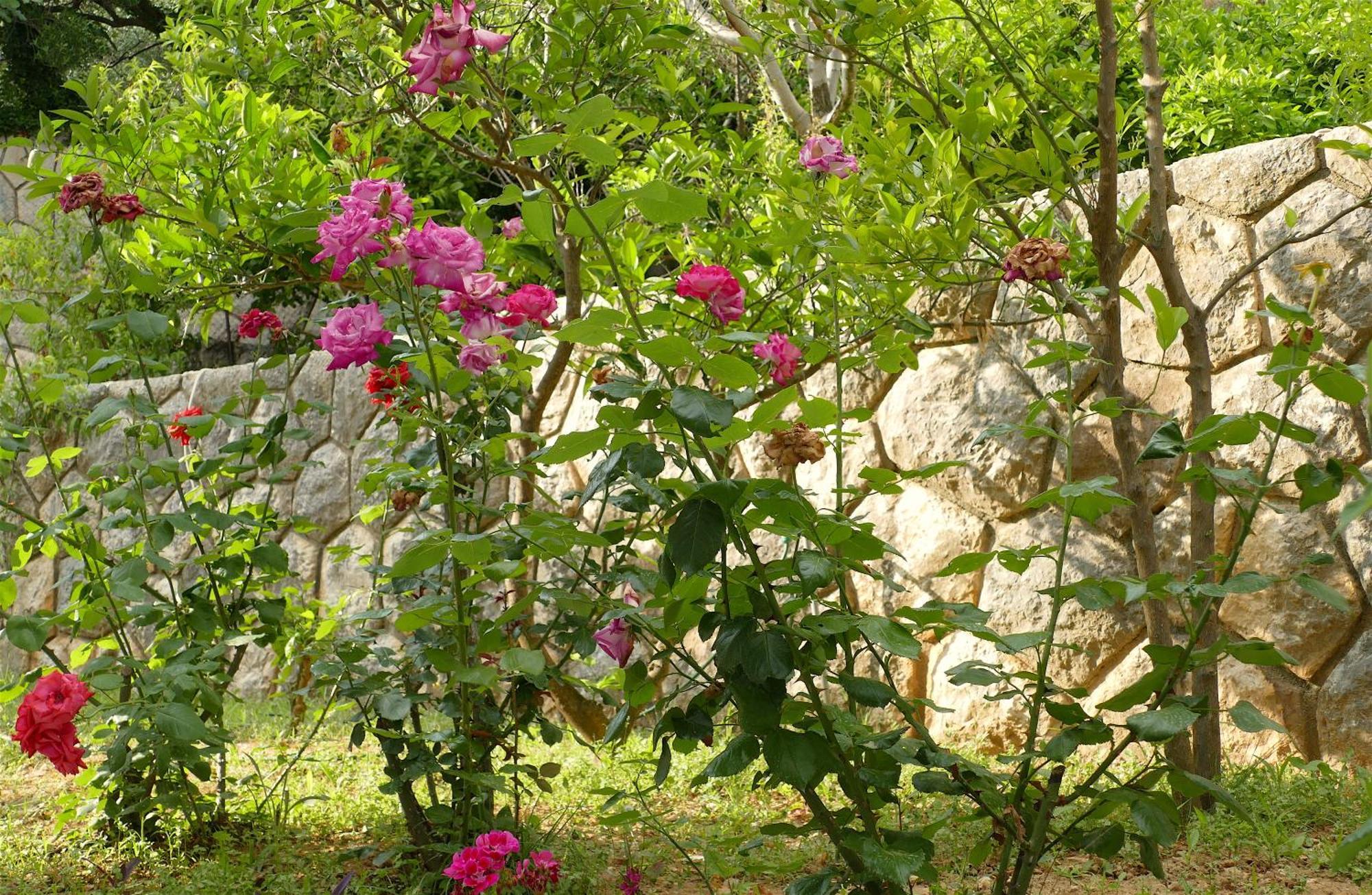 B&B Garni Toni Supetarska Draga Ruang foto